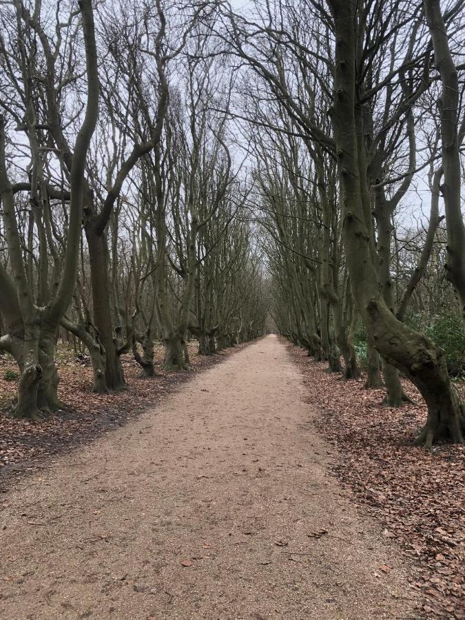 Dorpsdijk 49, Vrouwenpolder Vakantie Dış mekan fotoğraf